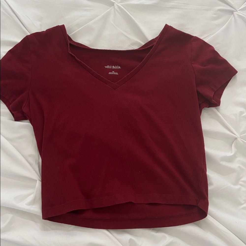 Wild Fable Deep Red V-Neck Crop Top